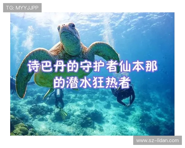 张娜的飞盘人生:从热爱到职业的深度对话与成长之路 张娜的飞盘人生:从热爱到职业的深度对话与成长之路