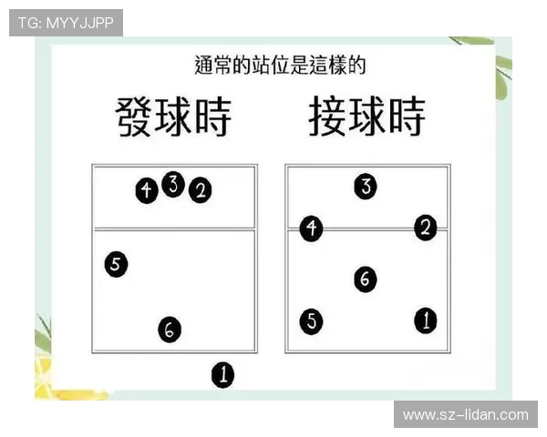 排球专题深入解析西安排球队的战术节奏与团队协作技巧