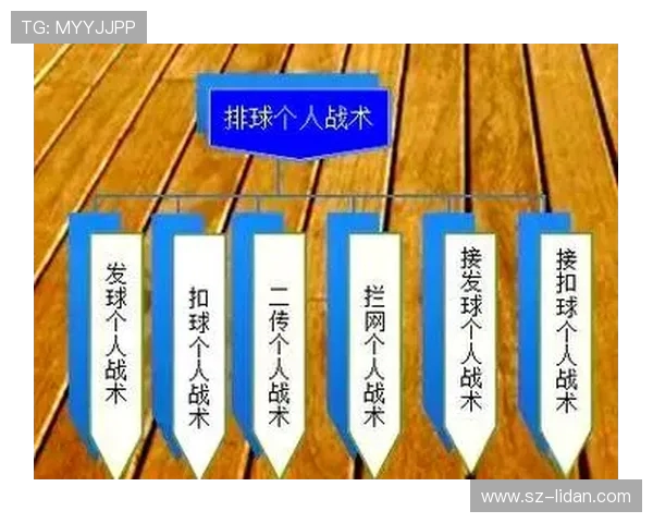 深入分析杭州排球队的控制打法及其战术优势与应用策略