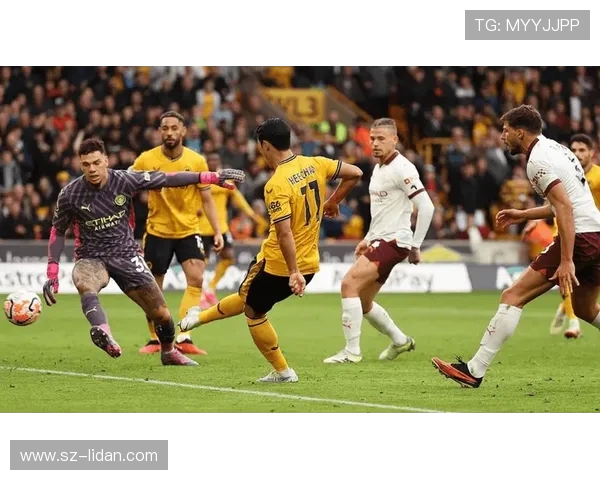 加的夫城对阵狼队精彩直播全程回顾与赛后分析